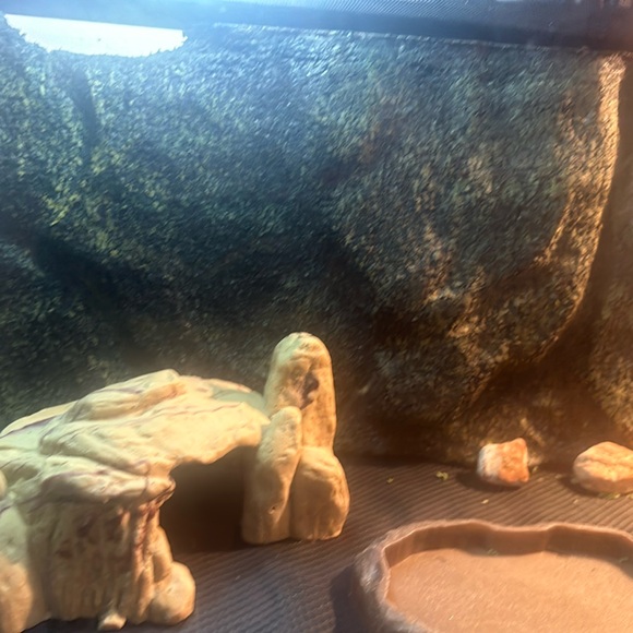 Reptile tank - Picture 1 of 2